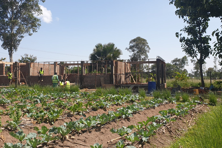 Reisebrev fra Uganda mai 2025