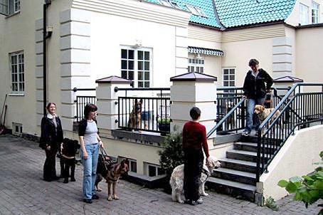 Lions førerhundskole - den første i Norge