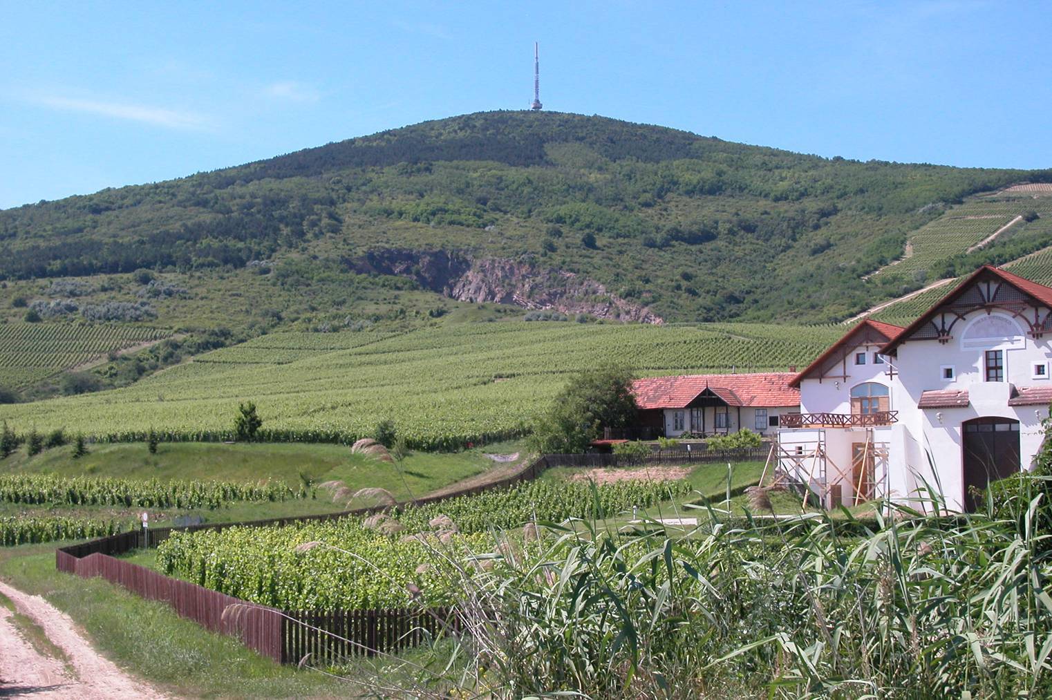 Ungarn 2016 - reisebrev fra Lars Vevstad