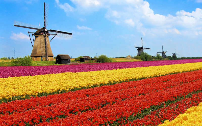 Nederland 2016 - reisebrev fra Agnete Jakobsen