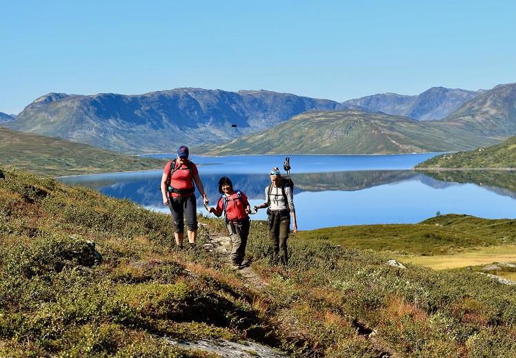Ridderennets støttebrev 2021